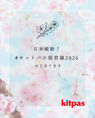 桜前線とともに日本をピンクに。 窓に描く参加型アート企画「#キットパス桜前線2026」始動