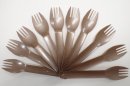 サルガッサムを一部原料とした100%植物バイオマス由来の生分解性プラスチック製品
