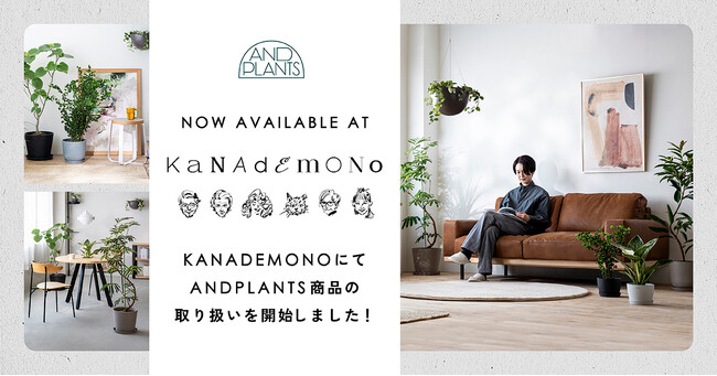 AND PLANTS（アンドプランツ）、パーソナライズ家具ブランド「KANADEMONO」と協業。家具と調和する観葉植物のコーディネート提案を開始