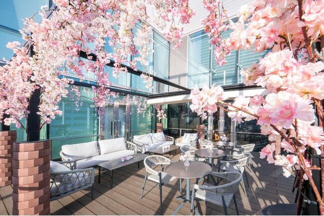 【ロッテシティホテル錦糸町】お花見気分でホテルグルメを味わえる♪春の期間限定「SAKURA Terrace Cafe & Bar」オープン