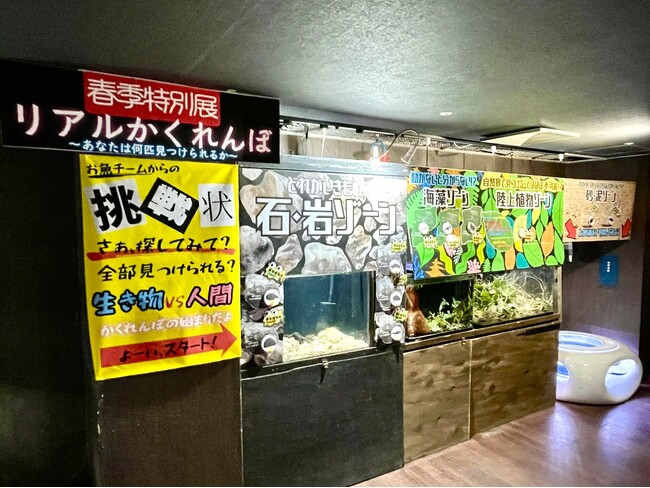 水槽の中で“リアルかくれんぼ”！？擬態する生きものを探す体験型企画展が開催！