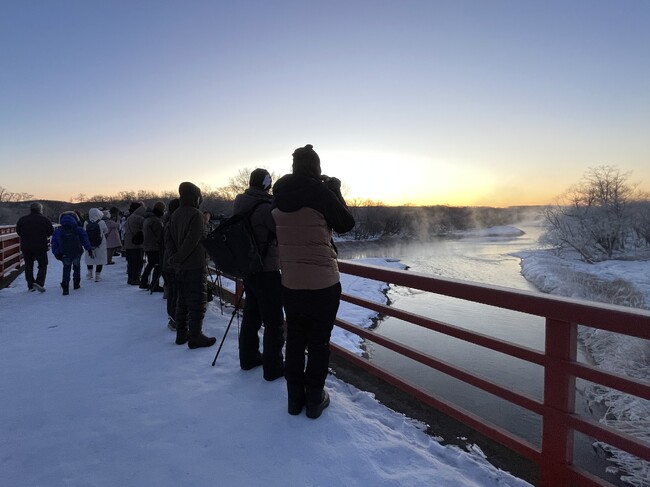 【トラスト協会】「鶴居タンチョウ トラスト」2号地を取得 -北海道・鶴居村と共同で約17haの土地を保護、地域の自然を守る取り組みが進展-