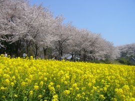尾根緑道会場