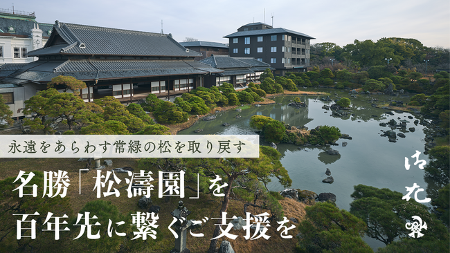 柳川藩主立花邸 御花、国指定名勝「松濤園」の松再生に向けたクラウドファンディングを開始