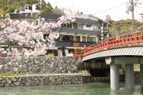 桜の開花にあわせて、京都スタッフ運営の宇治川沿い飲食店、お土産処など3店舗でお花見にちなんだフェアを開催！！