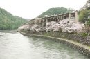 桜満開の宇治川