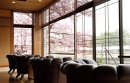 茶莵里のカウンターからの桜
