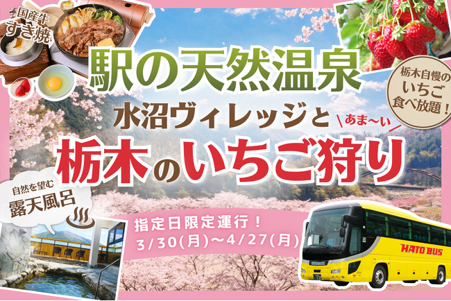 【 春限定 】満開の桜×絶景の天然温泉×いちご狩り！「水沼ヴィレッジ」で国産牛すき焼を味わう、春の贅沢 “日帰り” バスツアーが登場！