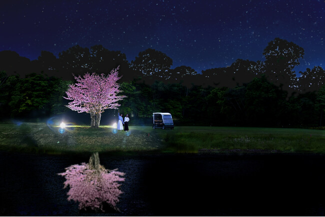 【函館大沼プリンスホテル】夜に見上げる1桜　ゴルフカートで行く夜桜ツアー