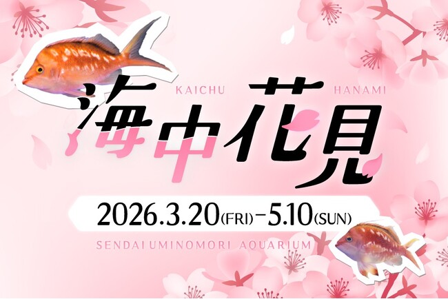 【仙台うみの杜水族館】海中花見【２０２６年３月２０日（金）～５月１０日（日）】