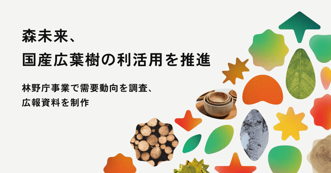 森未来、国産広葉樹の利活用を推進