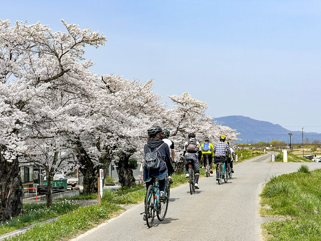 【山形・置賜】『置賜さくら回廊』をE-bikeで快走！ガイドと行く桜巡りサイクリングツアー【レンタサイクル付き】