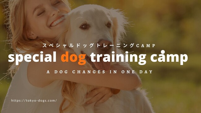 富士山麓の大自然で愛犬としつけを学ぶ1泊2日のキャンプ体験「スペシャルドッグトレーニングキャンプ【褒めトレ(R)︎実践講座】」開催
