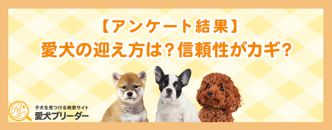 【調査】ブリーダーから迎えた人の82%が「次も同じ経路を選ぶ」と回答│愛犬ブリーダー