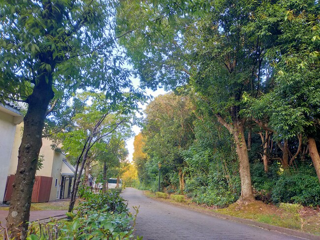 ハウステンボスの森と運河が環境省の「自然共生サイト」に認定