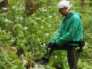 〈原料採取の風景。それぞれの現場に適した方法で、香りの源が収穫されます。〉 〈原料採取の風景。それぞれの現場に適した方法で、香りの源が収穫されます。〉