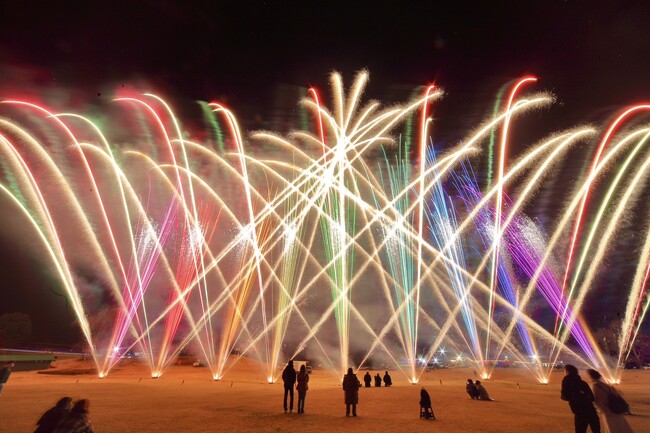 開園25周年記念！5,000発が夜空を彩る花火大会
