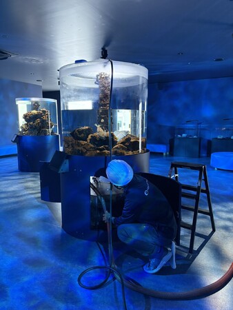 【広島もとまち水族館】大人の社会見学！？～閉館後「のぞき見ツアー」～開催！