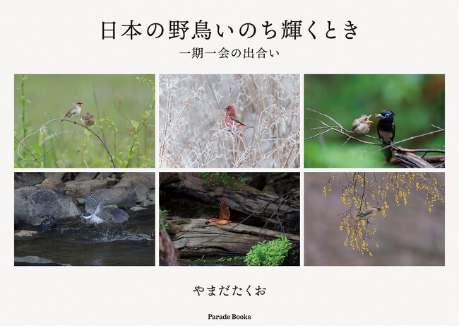 他では見ることのできない貴重な野鳥の姿が満載の写真集『日本の野鳥いのち輝くとき』が発売。