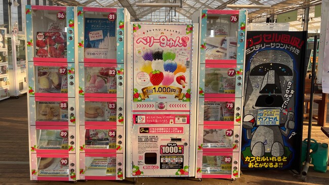 楽しみながら寄付する新時代へ。「ハズレなし」推し活×スピ活×社会貢献、9色の開運いちごスクイーズ寄付ガチャ『ベリー9ゅん(ハート)』が深作農園（茨城県鉾田市）で始動！