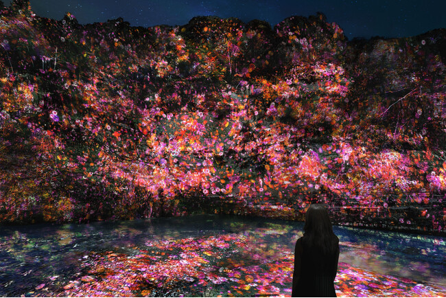 チームラボ、千葉・養老渓谷で夜の野外アート展「チームラボ 養老渓谷」を開催。長い年月をかけて自然が作り上げた渓谷が、人々の存在によって変化するアート空間に。