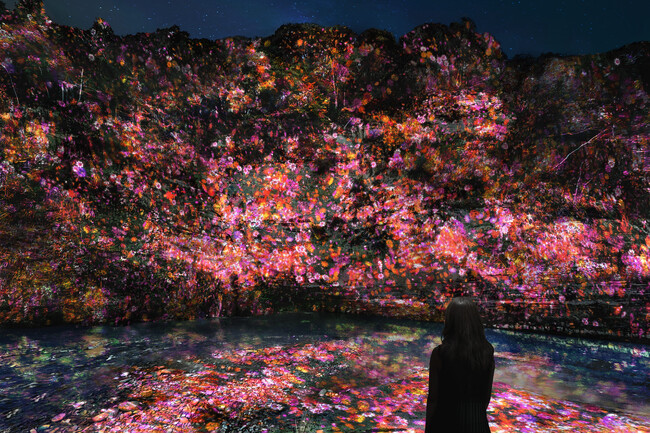 4/17～　千葉県・養老渓谷で春の夜を彩るアート展「チームラボ 養老渓谷」開催決定