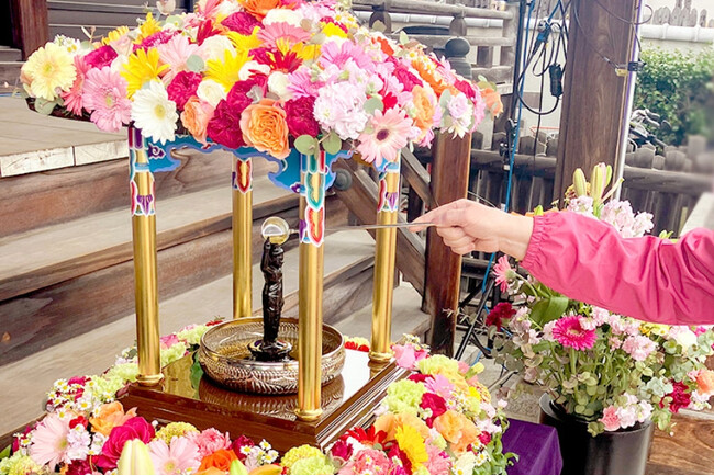 【参加無料】フラワーロス削減に寺院が取り組む「花まつり」を4月5日開催