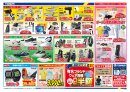 チラシ情報(2)