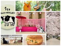 約200本の桜が彩る春の牧場で、グランドオープン1周年。那須千本松牧場が