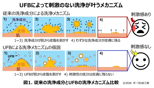 ポーラ化成工業・小林研究員、ウルトラファインバブルを化粧品に応用した論文で国際学術賞IFSCC Magazine 「Henry Maso Award」に決定