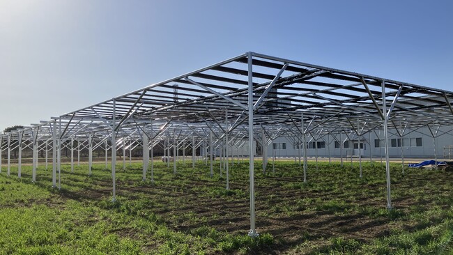 国内初※１、フィルム型ペロブスカイト太陽電池を用いた営農型太陽光発電設備の水田での取り組みを開始