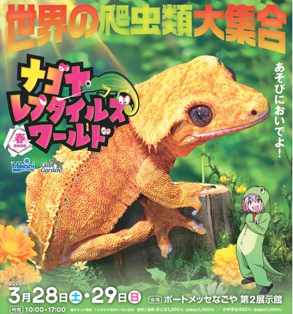 いよいよ今週末開催!ナゴヤレプタイルズワールド2026春