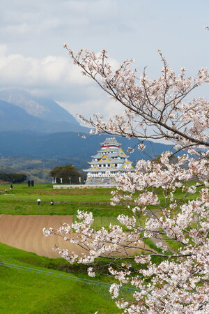 【南島原市】毎年人気の春の観光イベント3連続開催！桜まつり・原城一揆まつり・自然と遊ぼう2026で“歴史と春”を満喫しませんか？