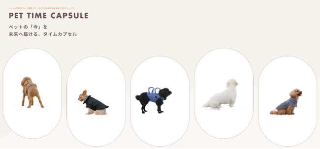 「あの日のうちのこにまた会える。」最新3D技術でペットの「今」を未来へ贈る、新サービス『PET TIME CAPSULE』提供開始！インターペット東京2026出展