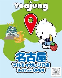 東海エリア初上陸！韓国発のフローズンヨーグルト『Yoajung(ヨアジョン)』名古屋 栄 マルエイガレリアに3月27日(金)オープン