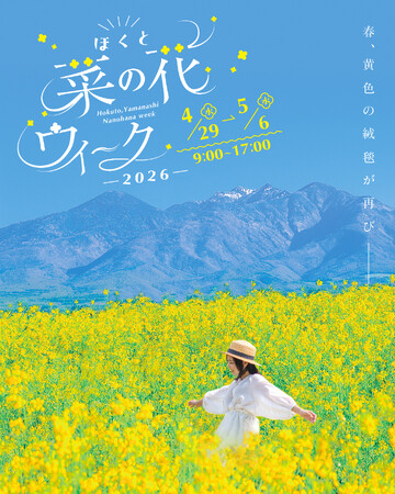 ゴールデンウィークの新観光スポット誕生！「ほくと菜の花ウィーク2026」初開催