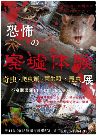 【業界初!?】静岡県熱海市に「廃墟動物園」が誕生！懐中電灯一つで夜行性生物の生態に迫る、恐怖と発見の新感覚エキゾチック・アニマル展示が期間限定オープン