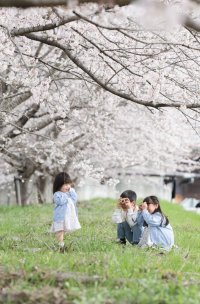 兵庫県三田市で「さんだ桜まつり2026」を4月4日(土)開催！～ 桜が織りなす「三田さくら物語」で春を彩る特別な体験を ～