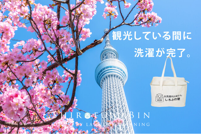 桜シーズンのインバウンド宿泊需要に対応！洗濯代行『しろふわ便』が宿泊客向け洗濯代行サービスの導入支援を強化―設備投資不要で個別宅配ランドリーサービスを提供可能に