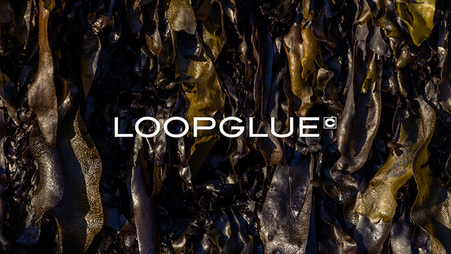 セメダインが、水で剥がせる海藻由来のアルギン酸ナトリウム系接着剤『LOOPGLUE』をwe+と博展と共同開発
