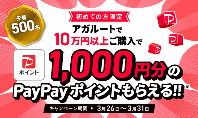 【キャンペーン情報】初回購入限定！1000円分のPayPayポイントプレゼント！