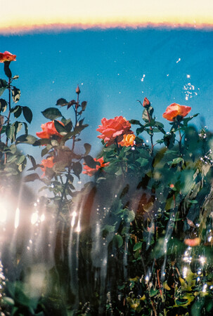 OSAJI（オサジ）初となるギャラリーの柿落としを飾るのは、写真家・大矢真梨子の個展「Inner Garden」。2026年4月25日（土）より、京都「お匙 京都」にて開催。