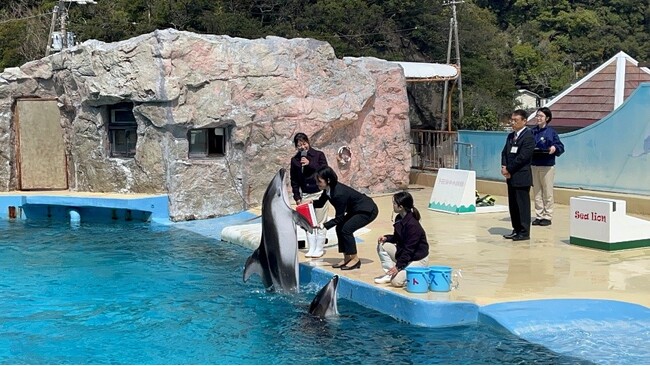 【下田海中水族館】入社式～イルカたちが新入社員を歓迎～ 2026年4月1日（水）