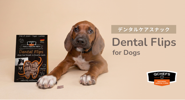 “噛んでケア”という新習慣。QCHEFSの犬用デンタルスナック「Dental Flips for Dogs」が3月27日（金）より発売。