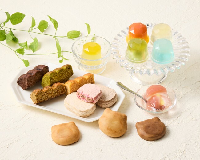 鎌倉の海のきらめきを、ひとさじのゼリーに。西鎌倉の洋菓子店「西鎌倉レ・シュー」より春夏コレクション登場。4月20日、新作「西鎌倉みなもゼリー」を発表