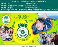 ゴールデンウイークは六甲山で大冒険！日本最大級のアスレチックで外遊びを満喫