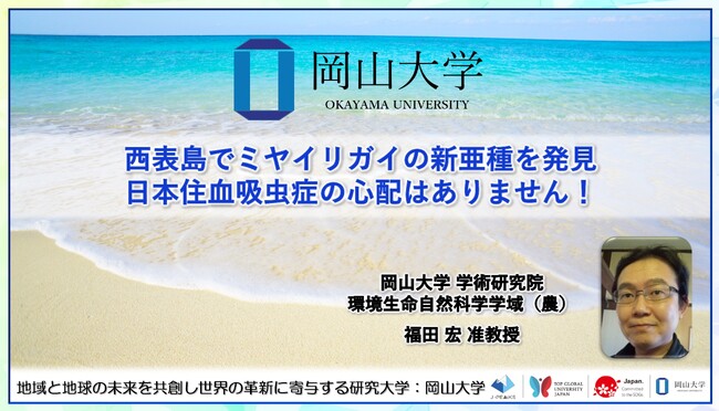 【岡山大学】西表島でミヤイリガイの新亜種を発見 日本住血吸虫症の心配はありません!