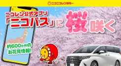 公式アプリ「ニコパス」にて、全国の桜開花情報をリアルタイムで掲載開始！