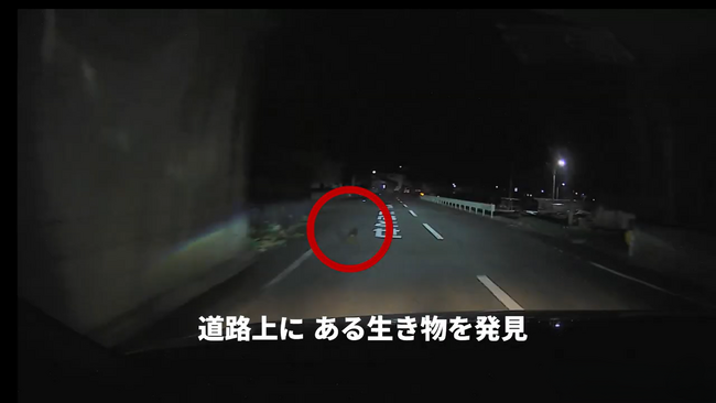 【JAF鹿児島】環境省と共同で ロードキル防止啓発動画を制作