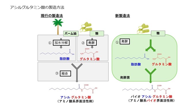 味の素(株)、パーム油フリー・アミノ酸系バイオ界面活性剤※1の新製法を開発